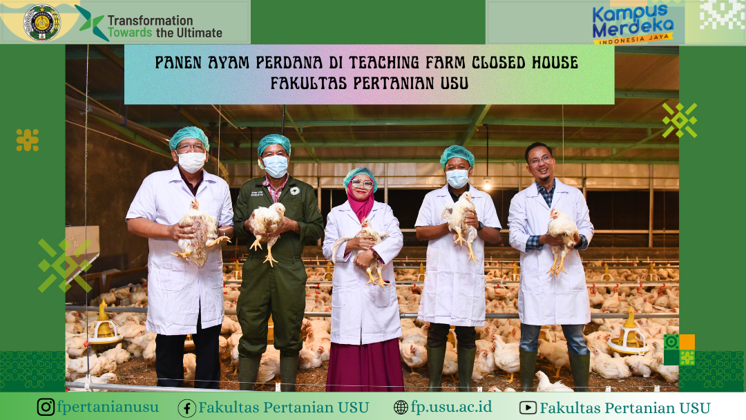 Panen Ayam Perdana di Teaching Farm Closed House Fakultas Pertanian USU